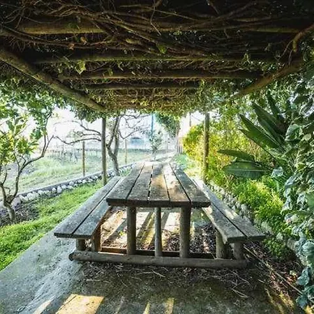 Σπίτι διακοπών Moinho Do Lebre