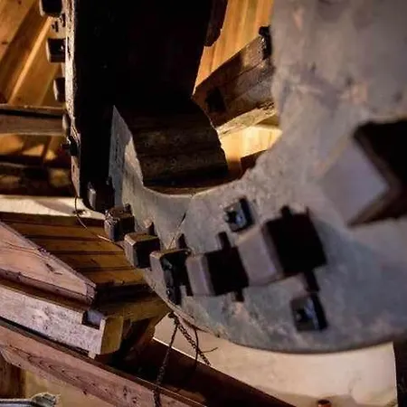 Vakantiehuis Moinho Do Lebre *