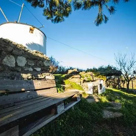 Moinho Do Lebre Σπίτι διακοπών *